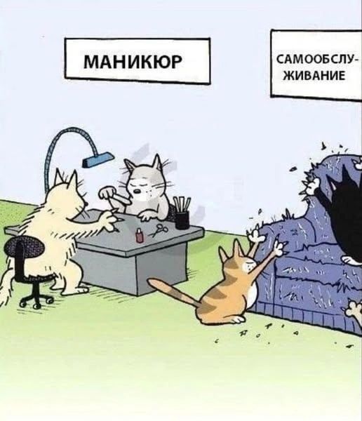 Куча мала 7