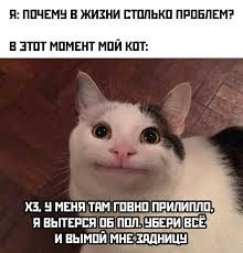 Небаянистая деградация 11
