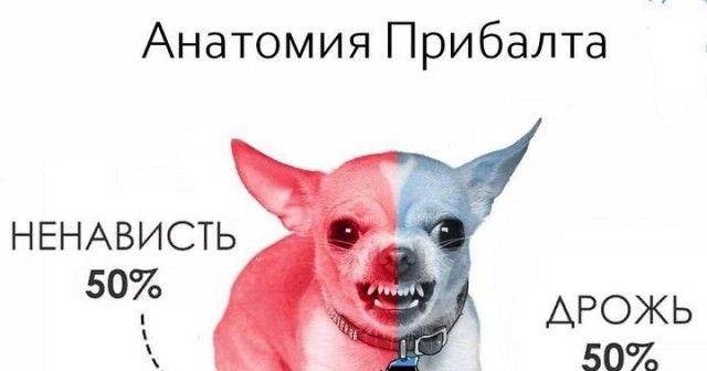 Латвия и Эстония призвали ЕС начать прямые переговоры с Россией