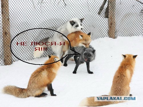 Несравненная Люся!
