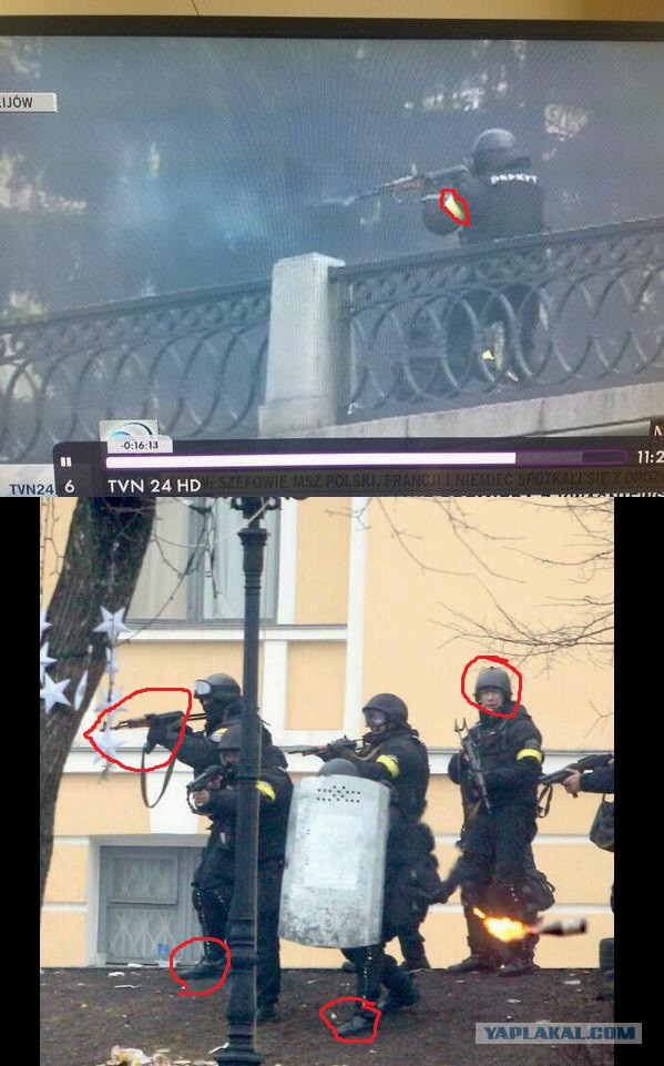 Беркуту выдали боевое оружие?
