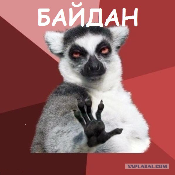 Весёлые картинки. Разбавим будни