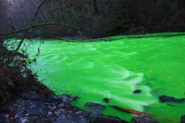 Зелёная река