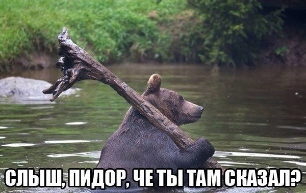 Смешные картинки
