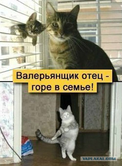 Позитивные картинки