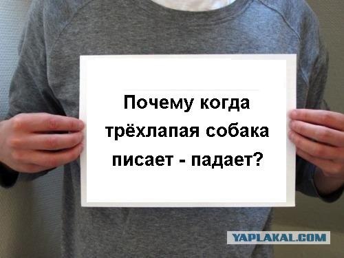 Россияне задают Путину "неудобные" вопросы