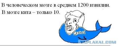 Несколько фактов, которые вам нафиг не нужны