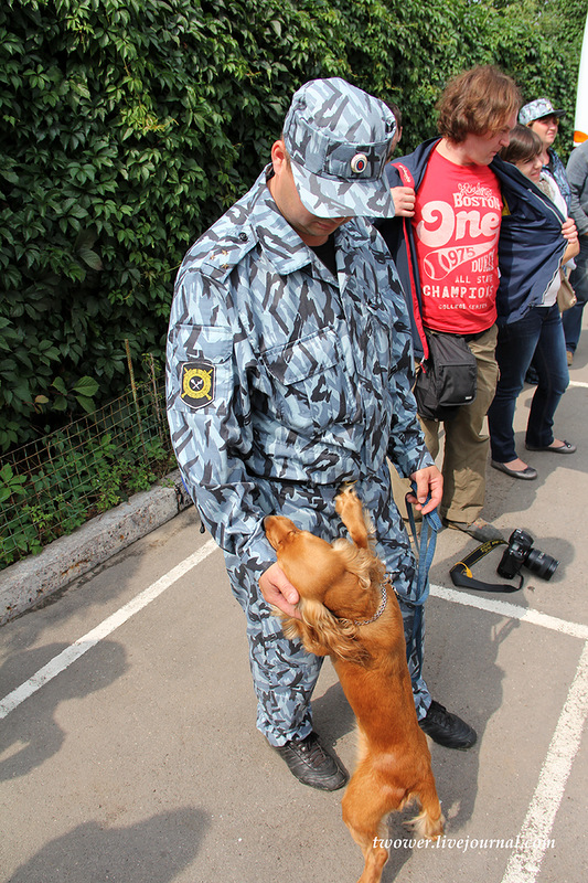 Центр кинологической службы Упр-ния на транспорте