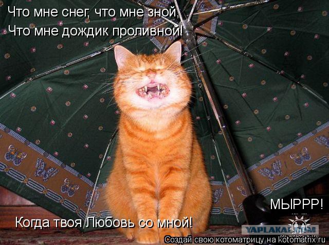 Фотожаба "У природы нет плохой погоды"