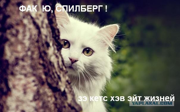 Про волос длинный и ум короткий