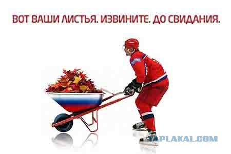 Кленобула. Мат-арт или минутка математики.
