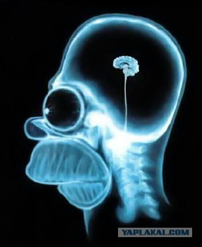 Сирия в огне