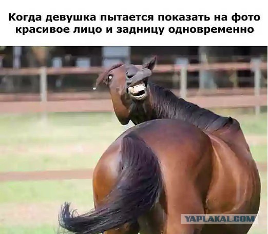 Картинки и демотиваторы