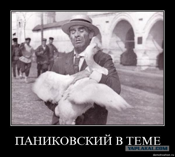 А белый лебедь...