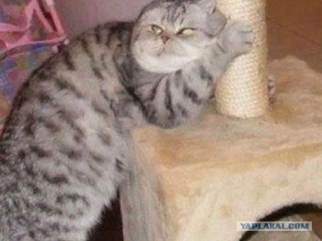 Любовнички спалились. 16+.