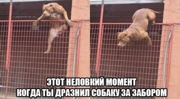 Разные картинки