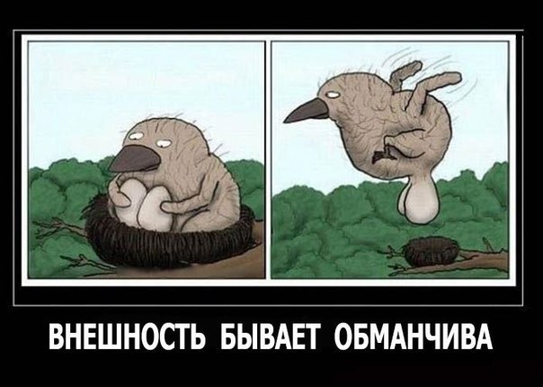 Картинки на утро вторника