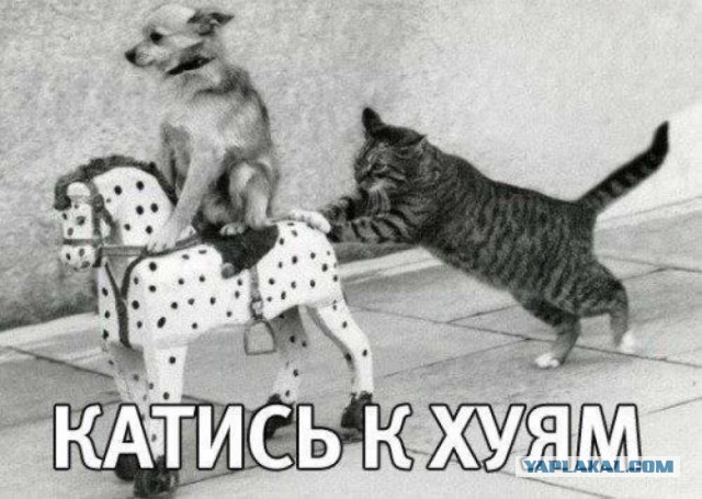Крымчане оспорили в ВС РФ