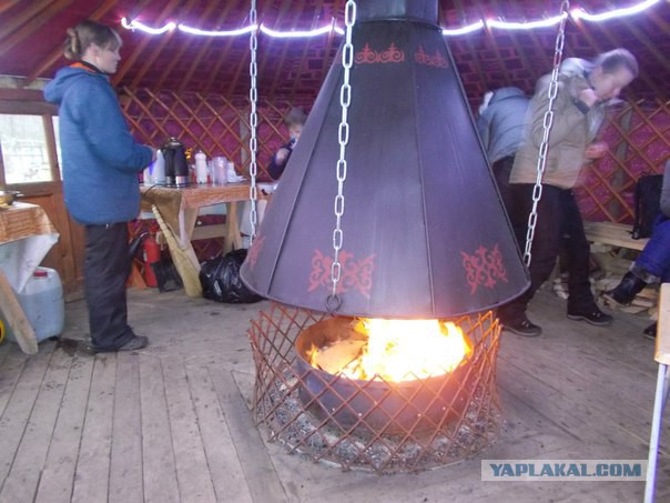 Прогулка с волками