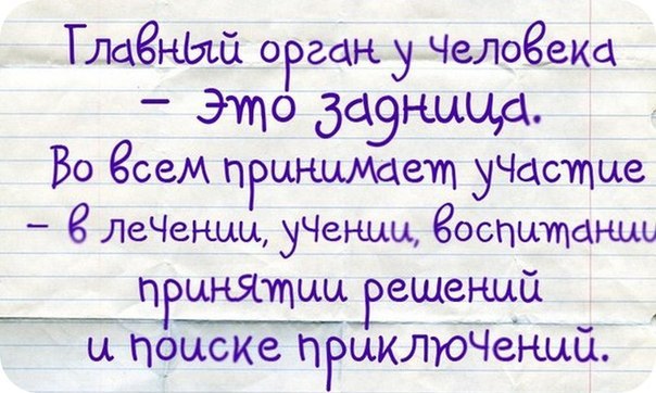 Подборка забавных картинок