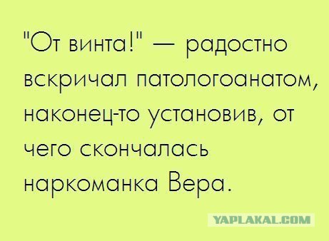 Веселые картинки