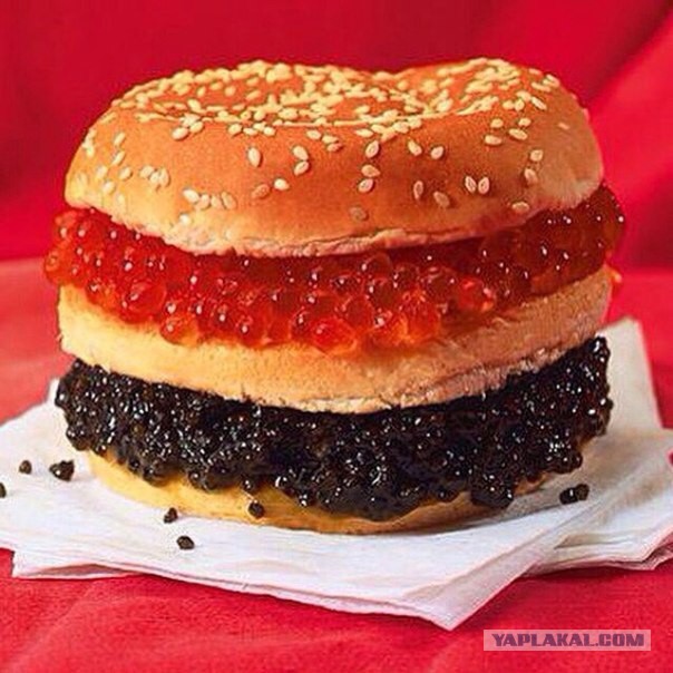 Утомленные икрой: какая она, жизнь на Камчатке?