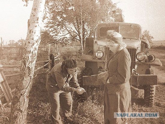 Фотографии с войны