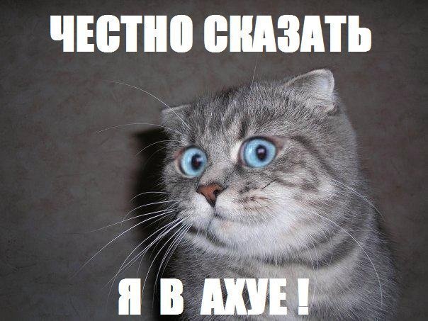 От 3 до 5! А я за неделю собрал!