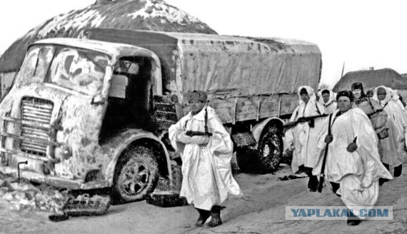 Рабочие лошадки второй мировой