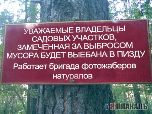 ВЫВЕСКИ, ТАБЛИЧКИ. Смешные и прикольные