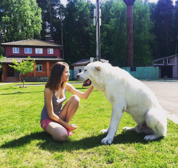 Алабай, год назад и сейчас