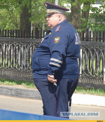 Накормили полицию
