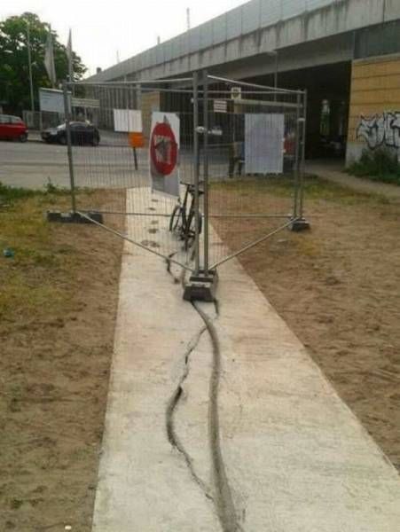 Картинки и приколы из сети