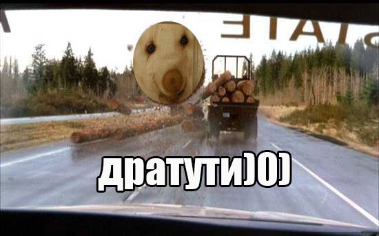 Подборка картинок