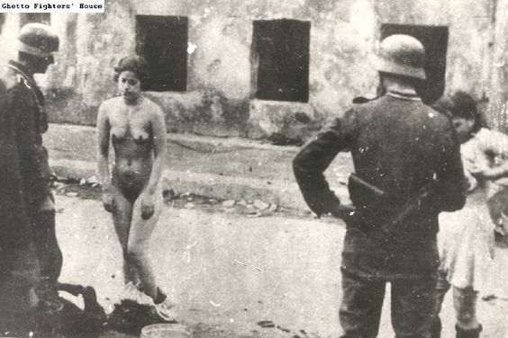 Волховский фронт. 1942. Взгляд с той стороны.