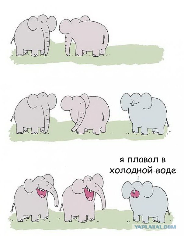 Юмор не для всех