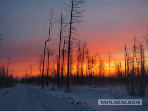 Зимники Якутии и Иркутской области. Весна 2011 года