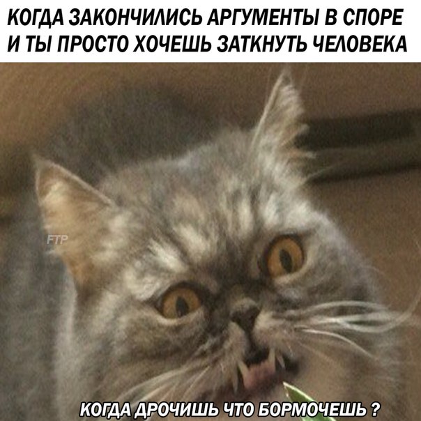Маразмом по понедельнику