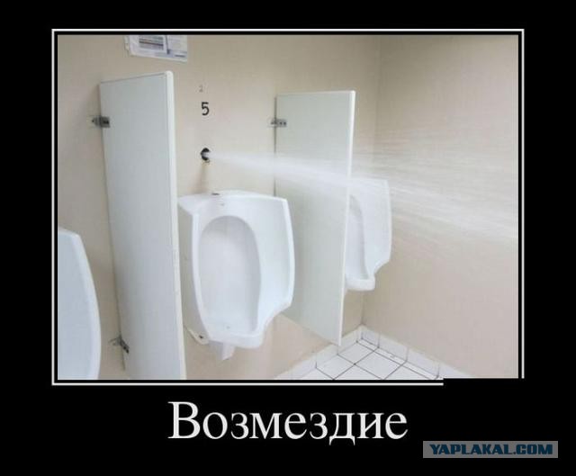Цветочки, картинки с смешными надписями в рамке