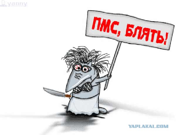 Мои тараканы