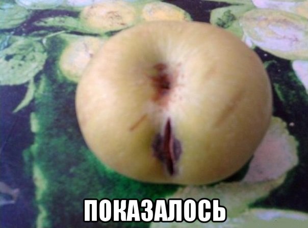 Приколы в стиле "регресс"