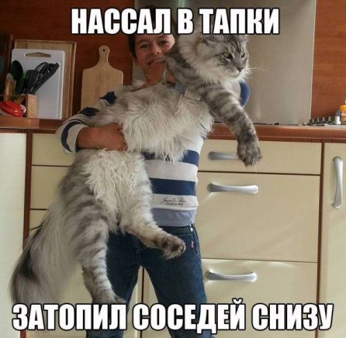 Соцсети и эти ваши интернеты