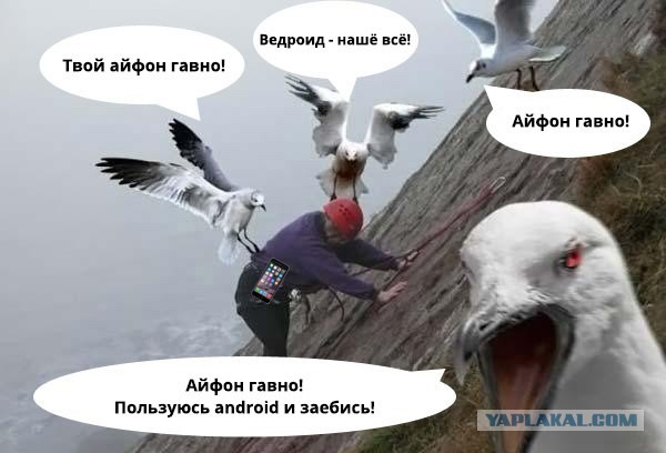 Всего лишь одна причина!