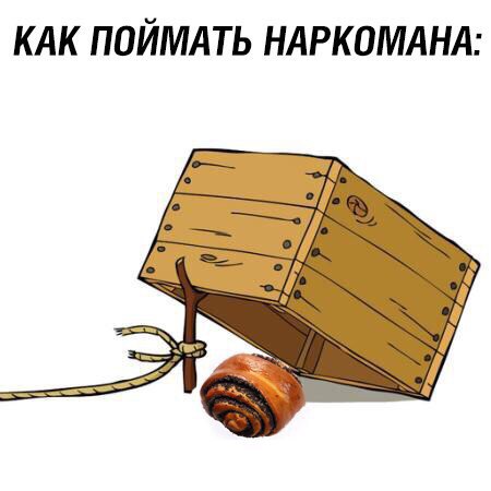 Ударная доза тупежа и лёгкой наркомании к выходным