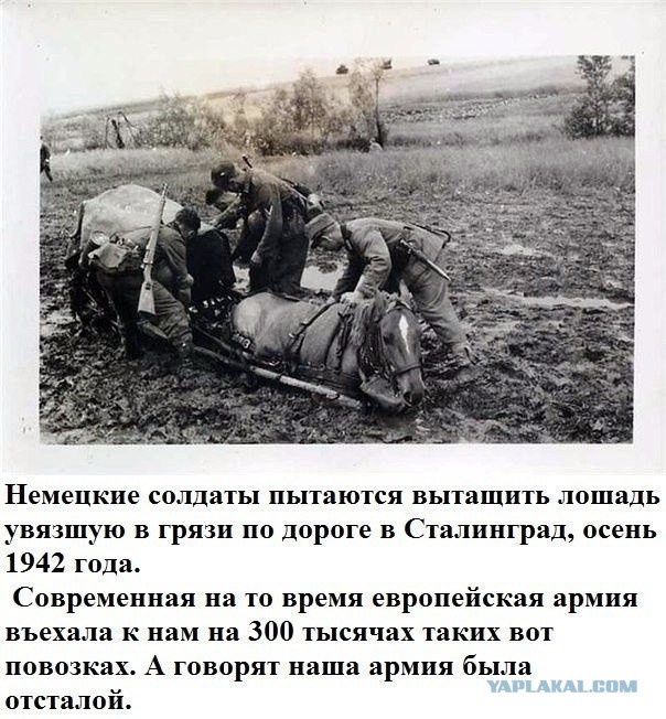 Моменты из прошлого