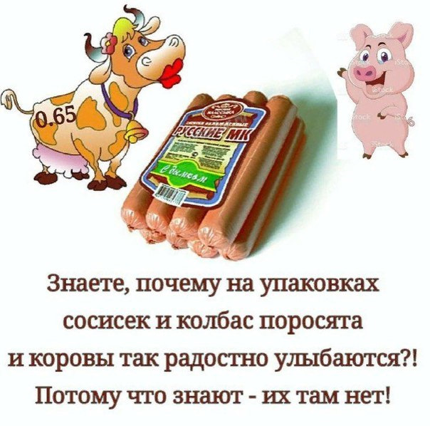 Нас всех преследует понедельничная деградация и откровенный тупёж!