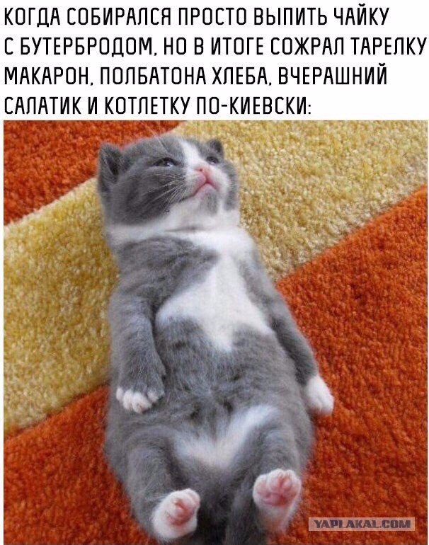 Они не пошли против системы, они её сломали к чёрту