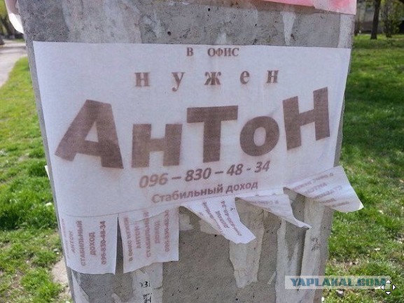 «Да, Антон, привет»
