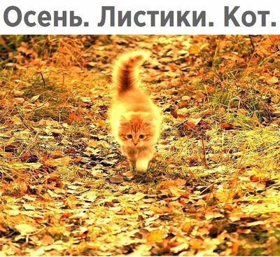 Немного картинок на вечер