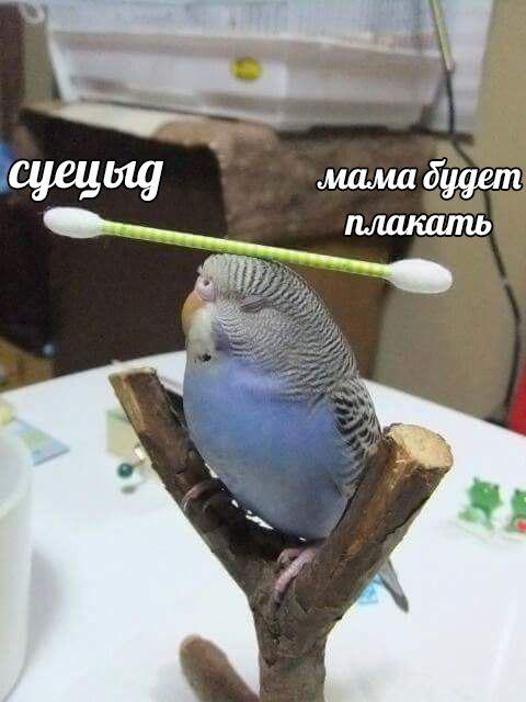 Наркомания и деградация к понедельнику